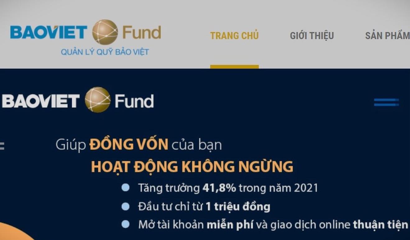 Cần làm gì khi lợi nhuận đầu tư trái phiếu của Bảo Việt Fund giảm 50%?