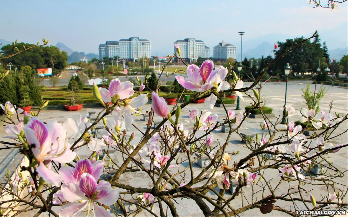 Triển khai đề xuất nội dung định hướng thanh tra năm 2023