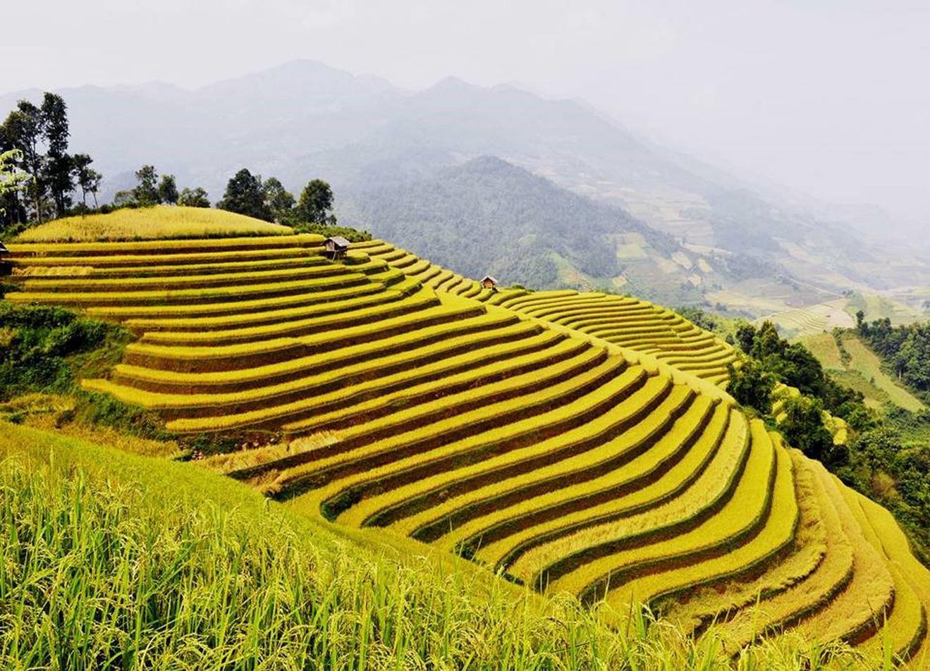 Vi phạm tại gói thầu liên quan Chương trình 775 và Đề án 1436 ở Điện Biên