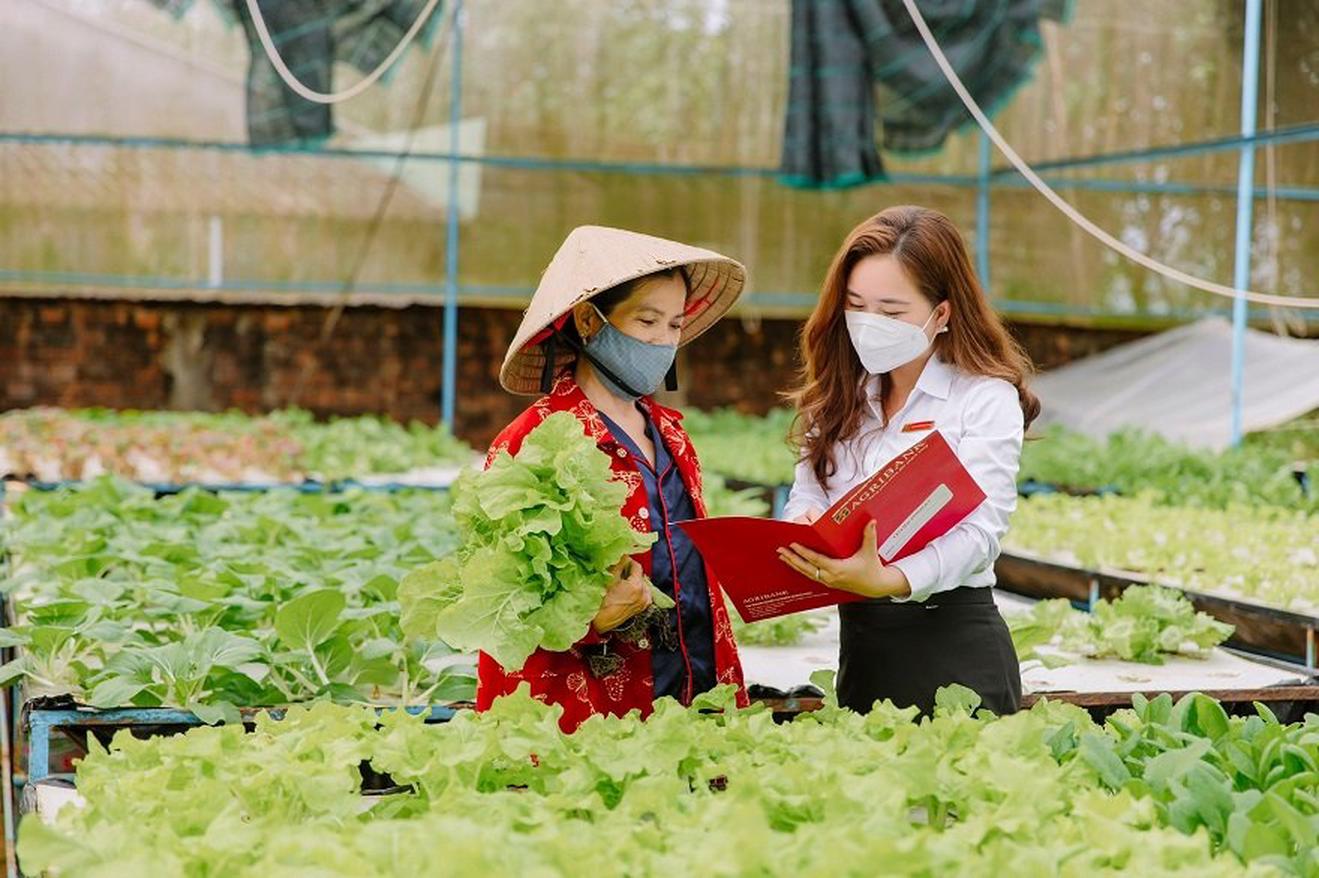 Khuyến khích tổ chức tín dụng cho vay đối với nông nghiệp, nông dân, nông thôn 