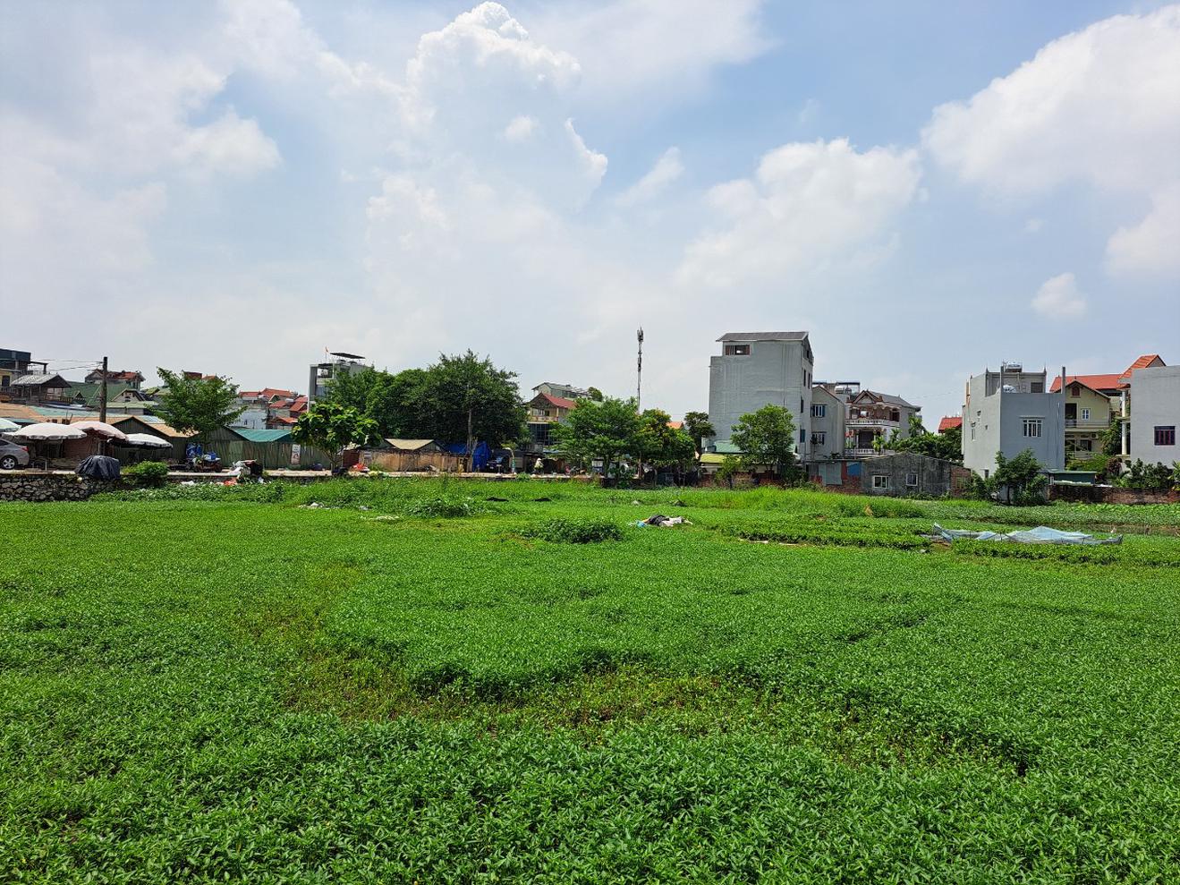 Thanh tra trách nhiệm Chủ tịch UBND huyện có xử lý vi phạm đất đai thấp