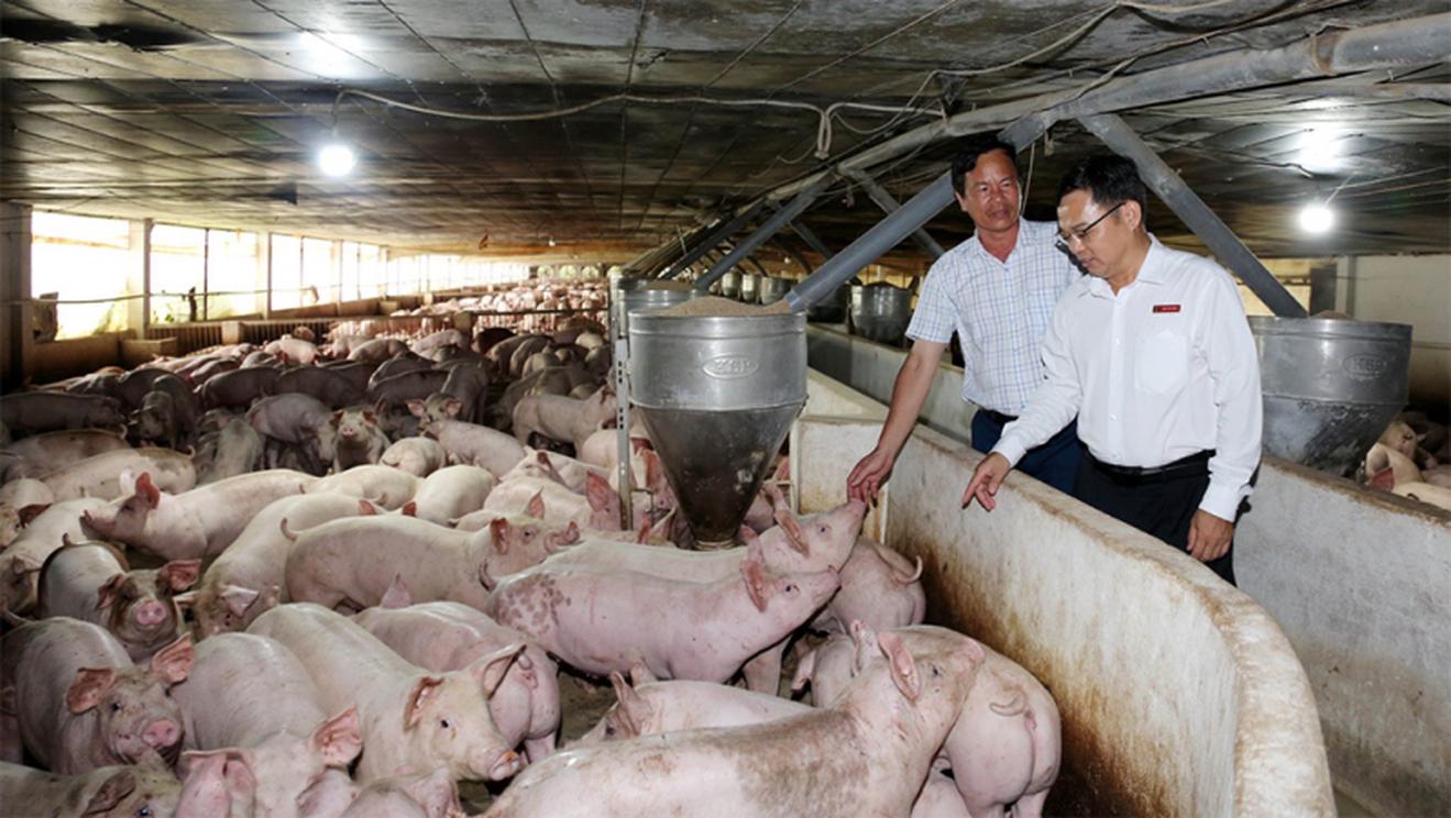 Agribank - Nhà đầu tư lớn của “Tam nông”
