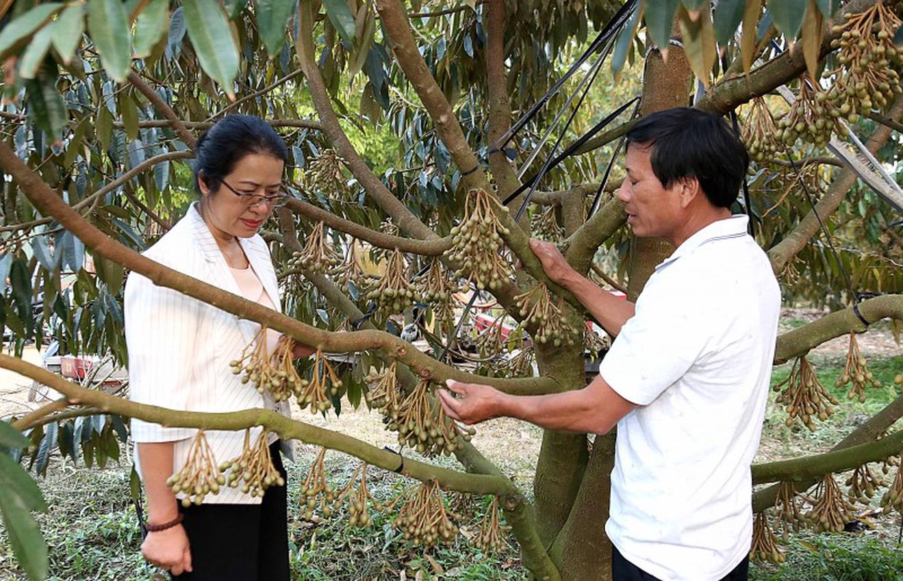 Ngành Ngân hàng cụ thể hóa Nghị quyết về “tam nông” thế nào?