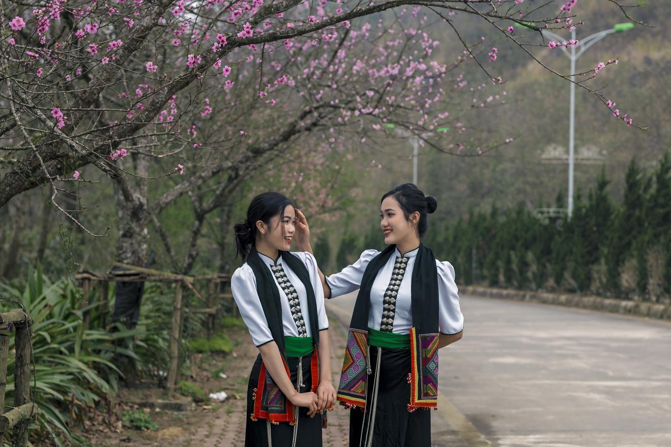 Miễn phí vé tàu hỏa Mường Hoa cho 5 tỉnh, Fansipan hút khách mùa hoa đào nở rộ