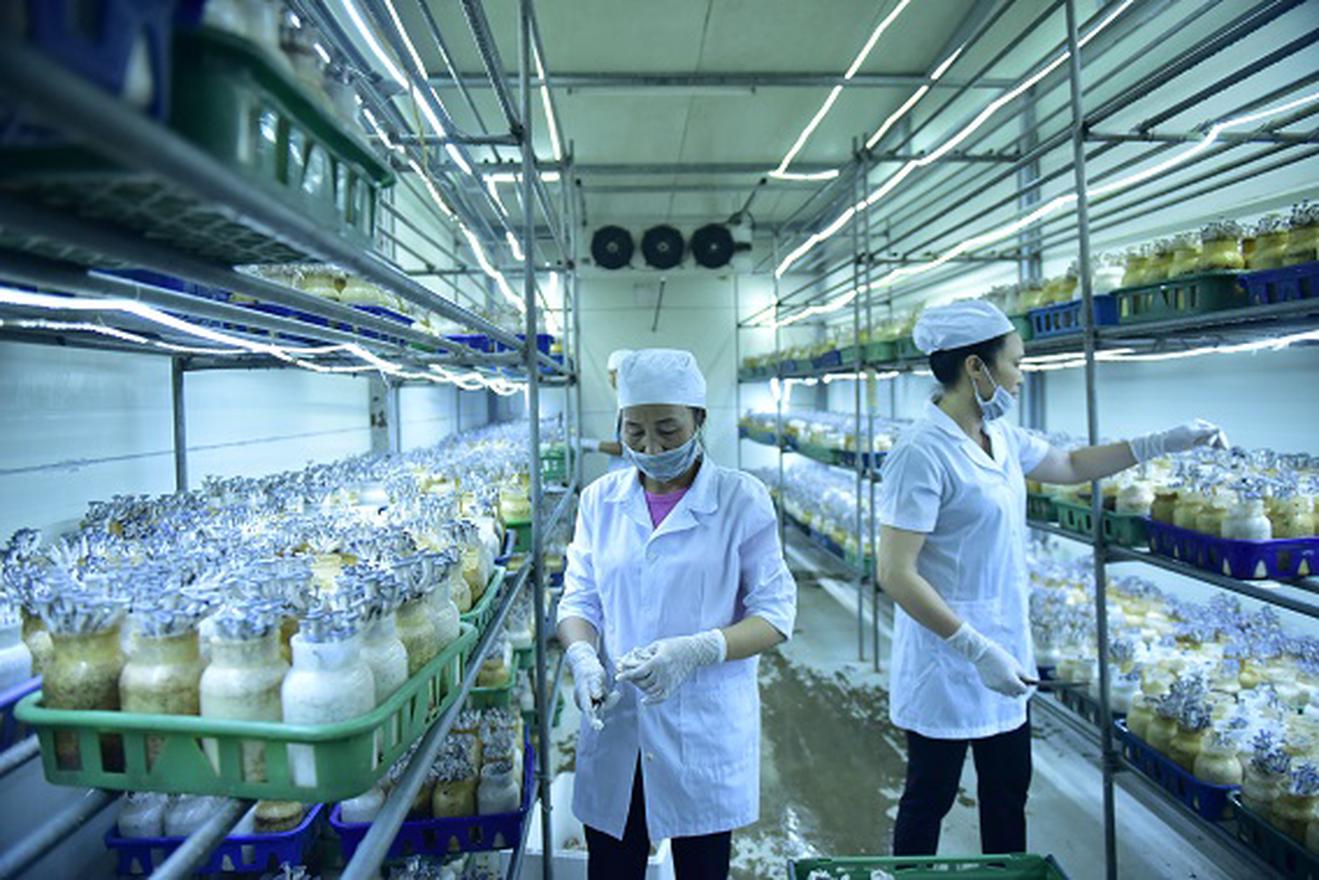 Thanh tra, kiểm tra về truy xuất nguồn gốc sản phẩm, hàng hóa