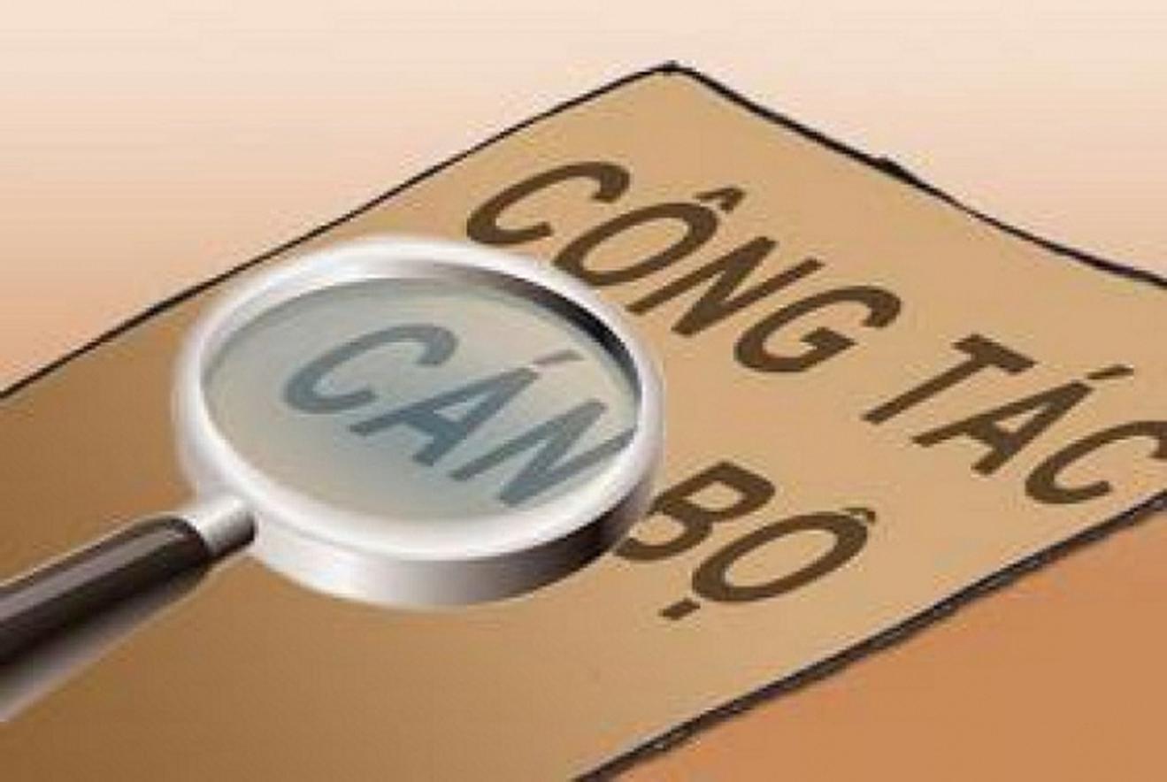 Vụ trưởng phải có năng lực triển khai thực hiện thanh tra, kiểm tra, xử lý theo quy định pháp luật