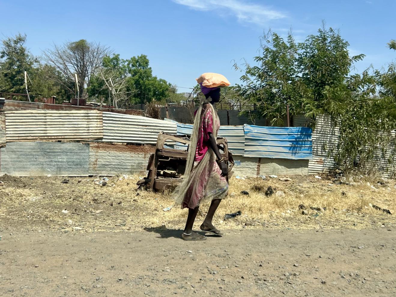 Thực trạng tham nhũng tại Nam Sudan