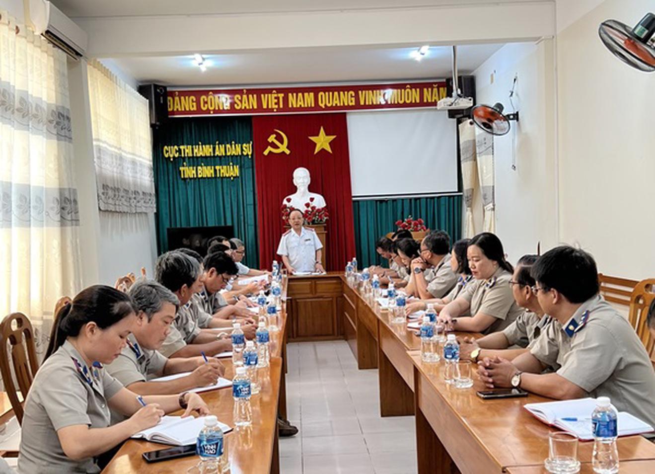 Thanh tra trách nhiệm Cục trưởng Cục Thi hành án dân sự tỉnh Bình Thuận