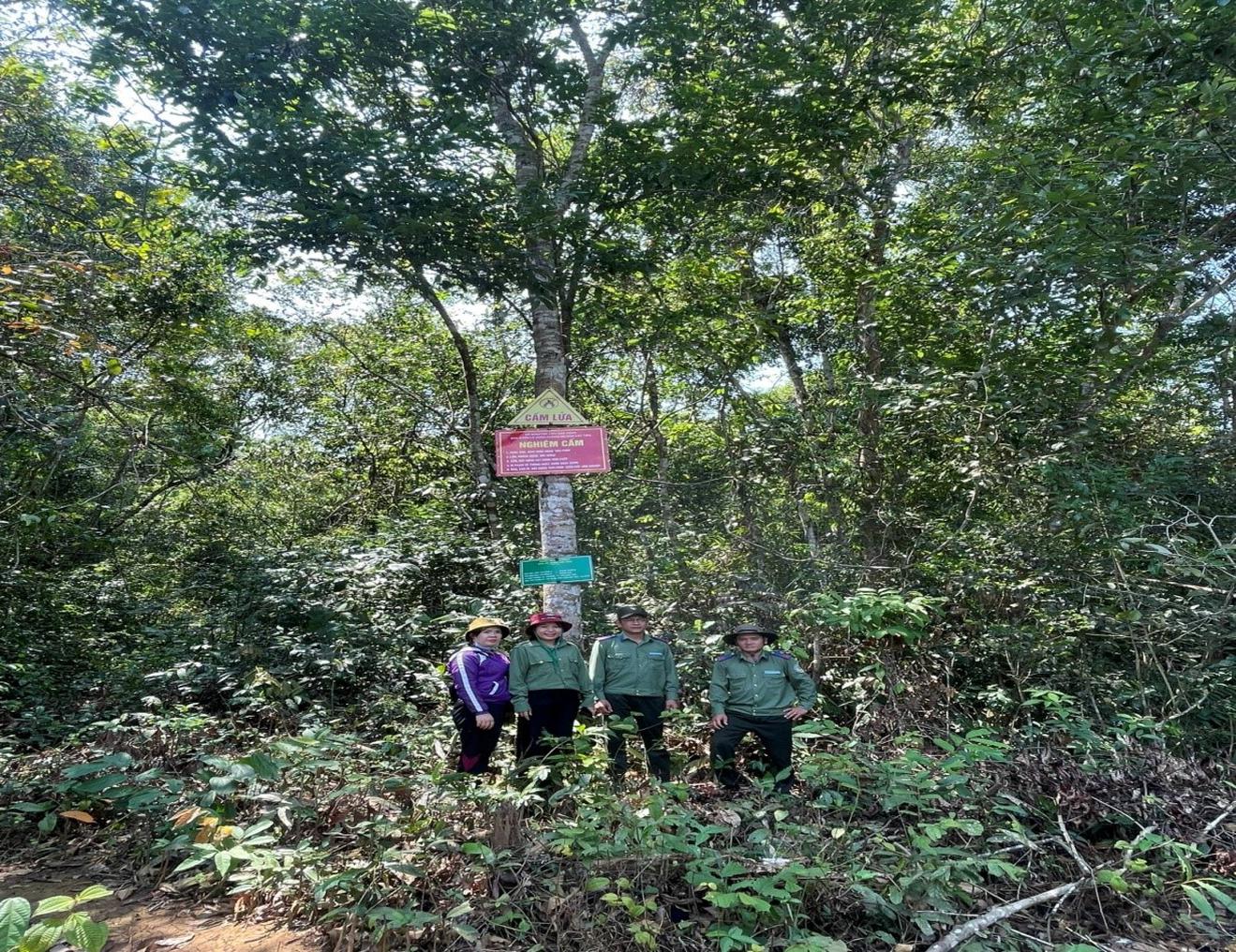 Ban quản lý rừng phòng hộ Nam Cát Tiên cần kịp thời phát hiện, ngăn chặn và xử lý vi phạm