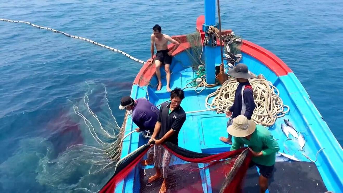 Quyết tâm cao nhất gỡ cảnh báo "Thẻ vàng" của Đoàn Thanh tra Ủy ban Châu Âu