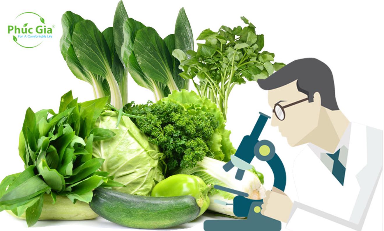 Chi cục Kiểm dịch thực vật Vùng II, V, VII, VIII: Đụng đâu sai đấy