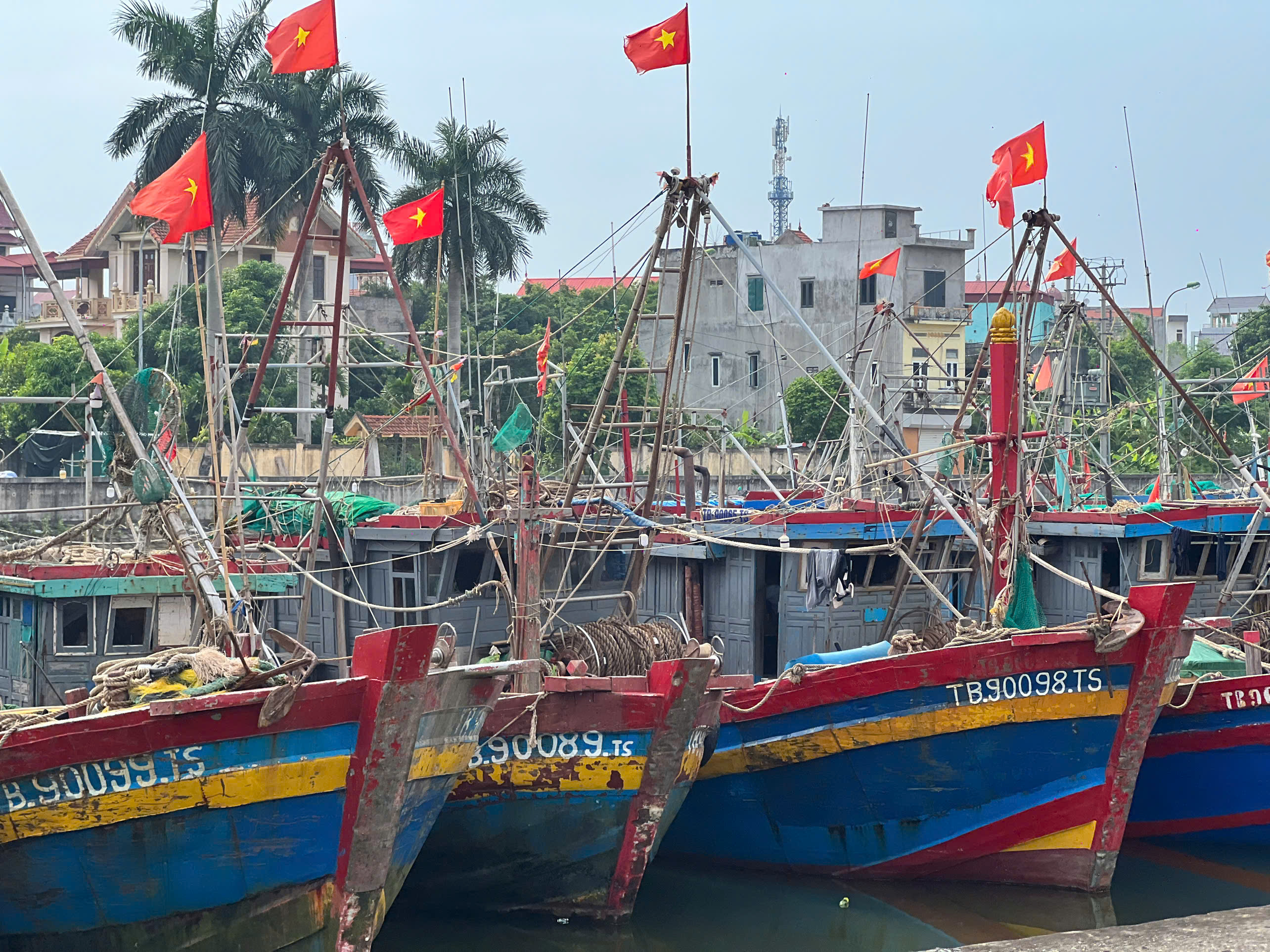 Các tàu cá trong khu neo đậu tránh trú tàu cá Tân Sơn. Nguồn ảnh: Bộ Nông nghiệp