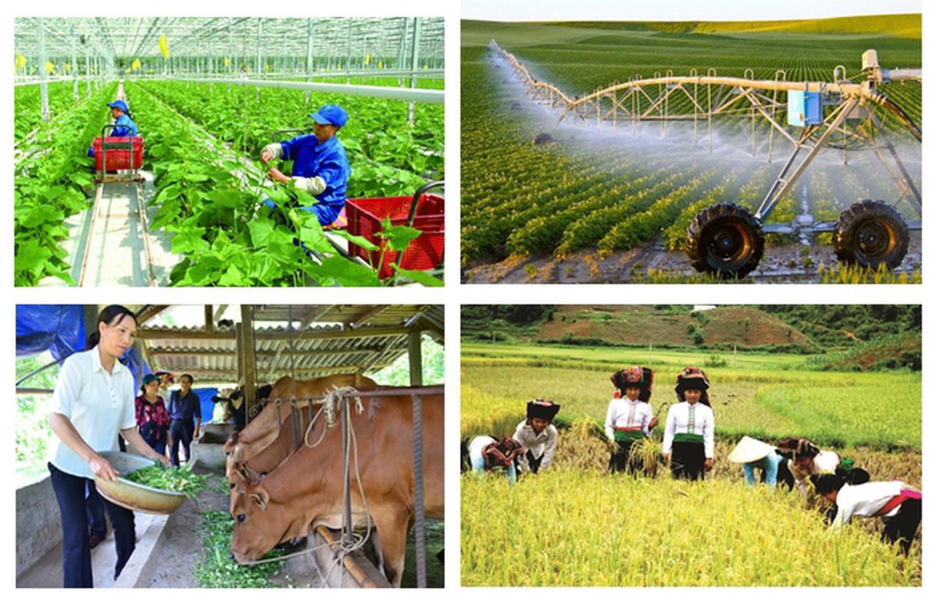 Thành lập Ban Chỉ đạo Tổng điều tra nông thôn, nông nghiệp năm 2025 trung ương