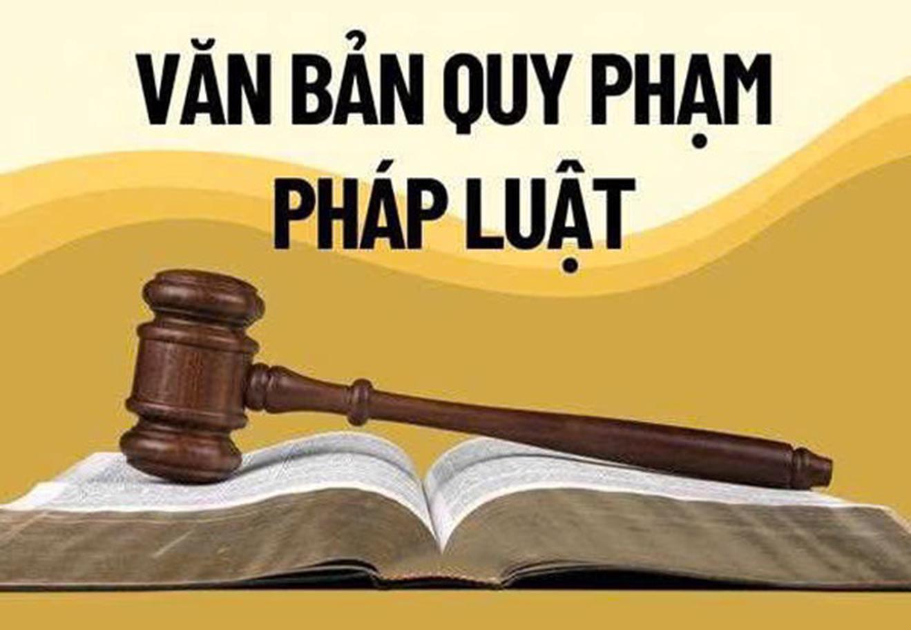 Trà Vinh: Nâng cao chất lượng công tác xây dựng, kiểm tra và rà soát văn bản quy phạm pháp luật