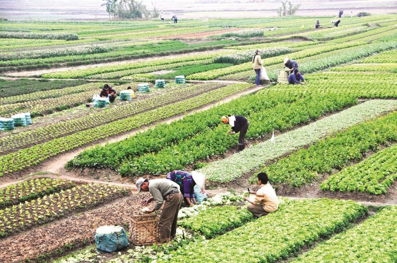 Quy định mới về xử phạt vi phạm hành chính trong lĩnh vực đất đai