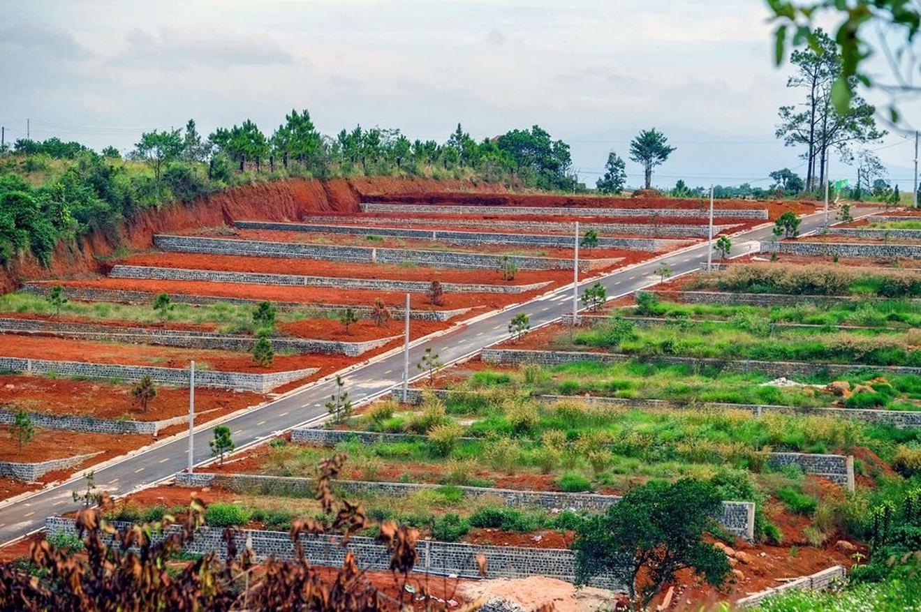 Lâm Đồng: Ban hành quy định mới về việc tách thửa, hợp thửa đất