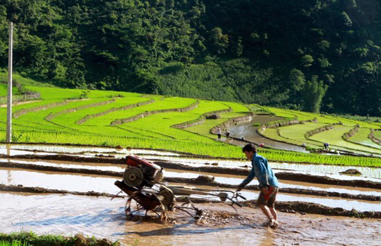 Thanh tra có trọng tâm, trọng điểm các chương trình, chính sách Dân tộc
