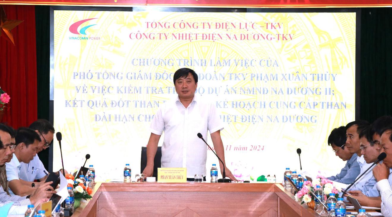 Phó Tổng giám đốc tập đoàn Phan Xuân Thủy kiểm tra tiến độ Dự án Nhà máy nhiệt điện Na Dương II