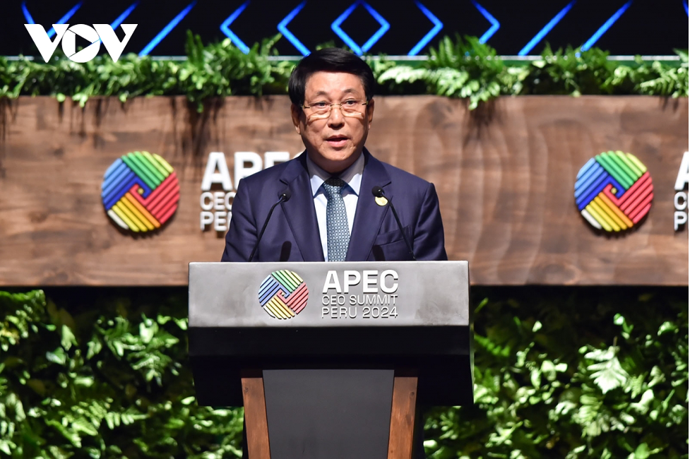 Chủ tịch nước Lương Cường phát biểu tại Hội nghị Thượng đỉnh Doanh nghiệp APEC. (Ảnh: vov.vn)