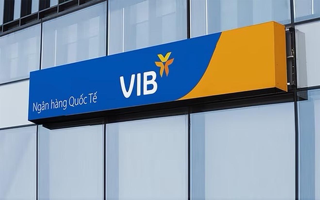 Ngân hàng VIB được Thanh tra Chính phủ nhắc tên trong Kết luận thanh tra 