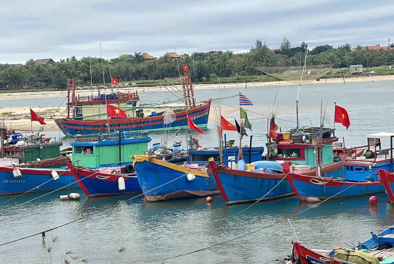 Xử lý dứt điểm tàu cá 3 “không” để chống khai thác IUU