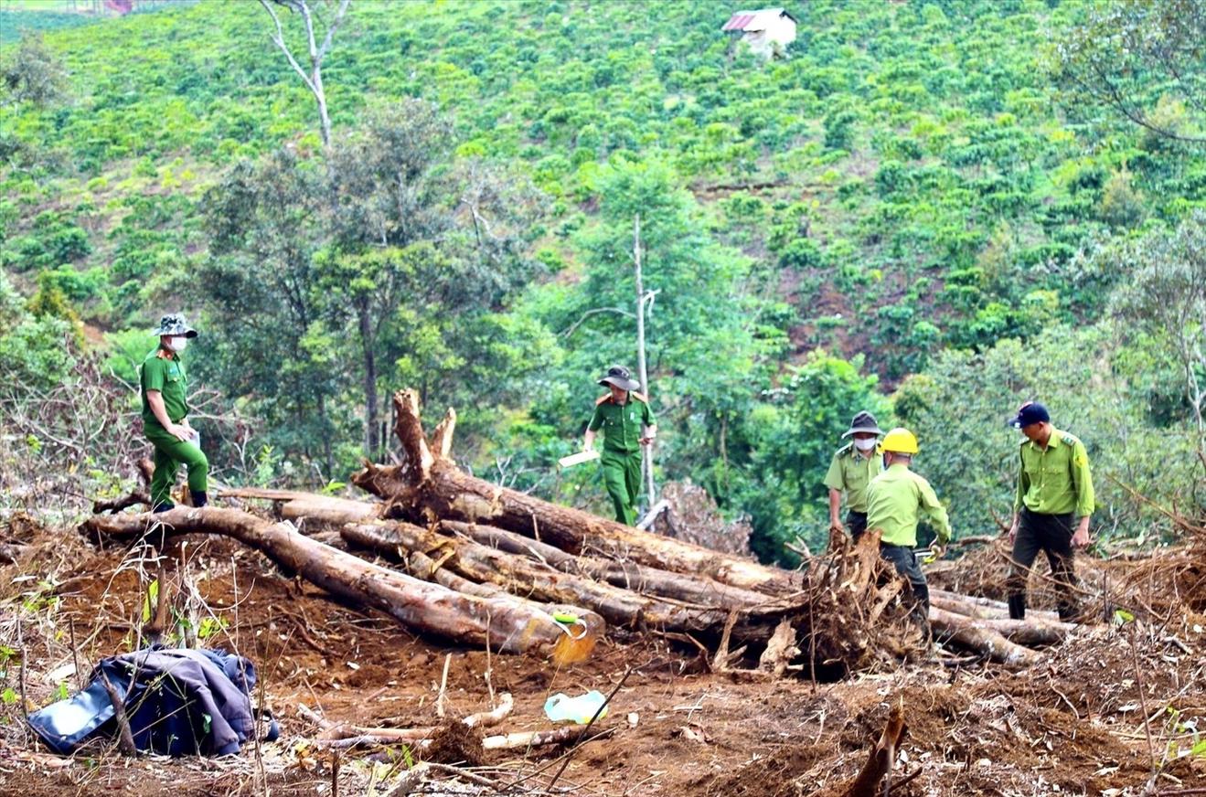 Thanh tra, kiểm tra - giải pháp hiệu quả nhằm phòng ngừa và đẩy lùi lãng phí tài nguyên