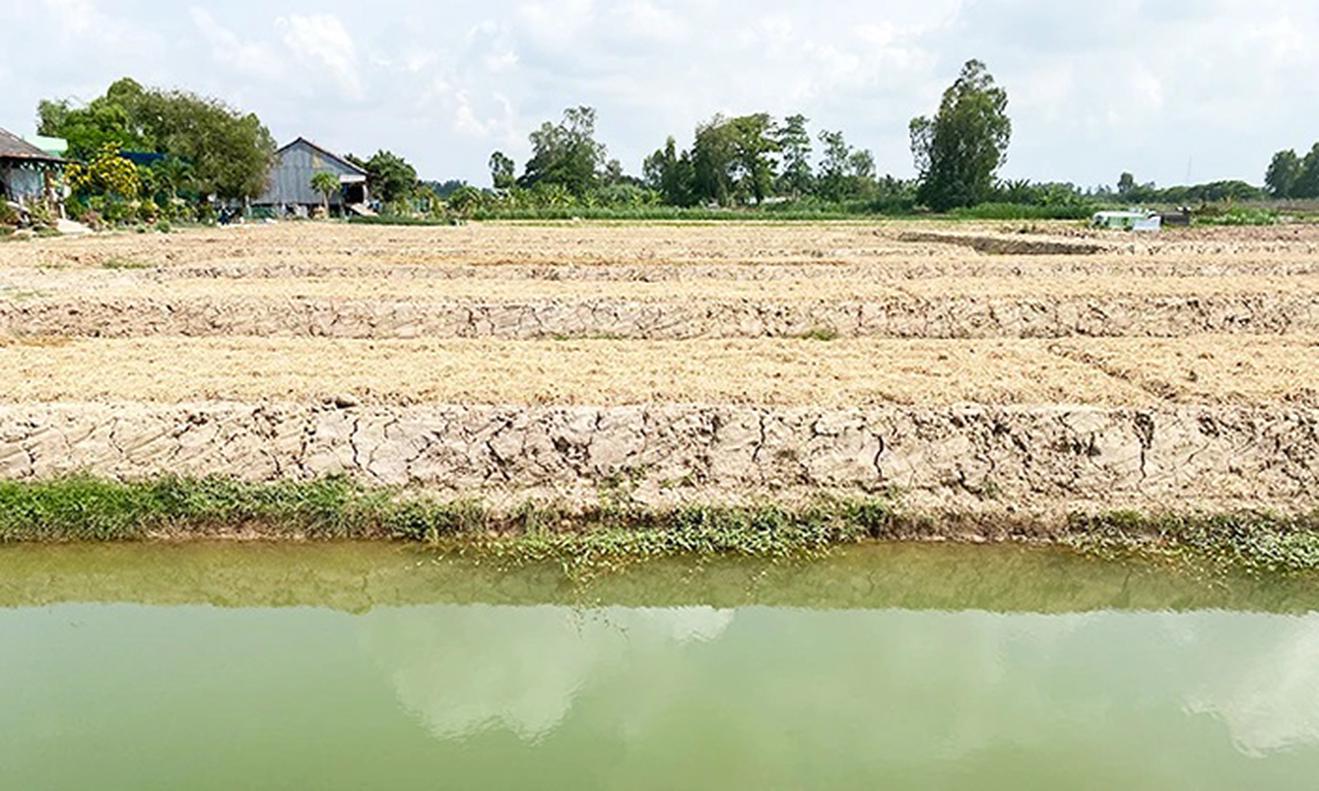 Tăng cường kiểm tra, xử lý việc sử dụng đất không đúng mục đích