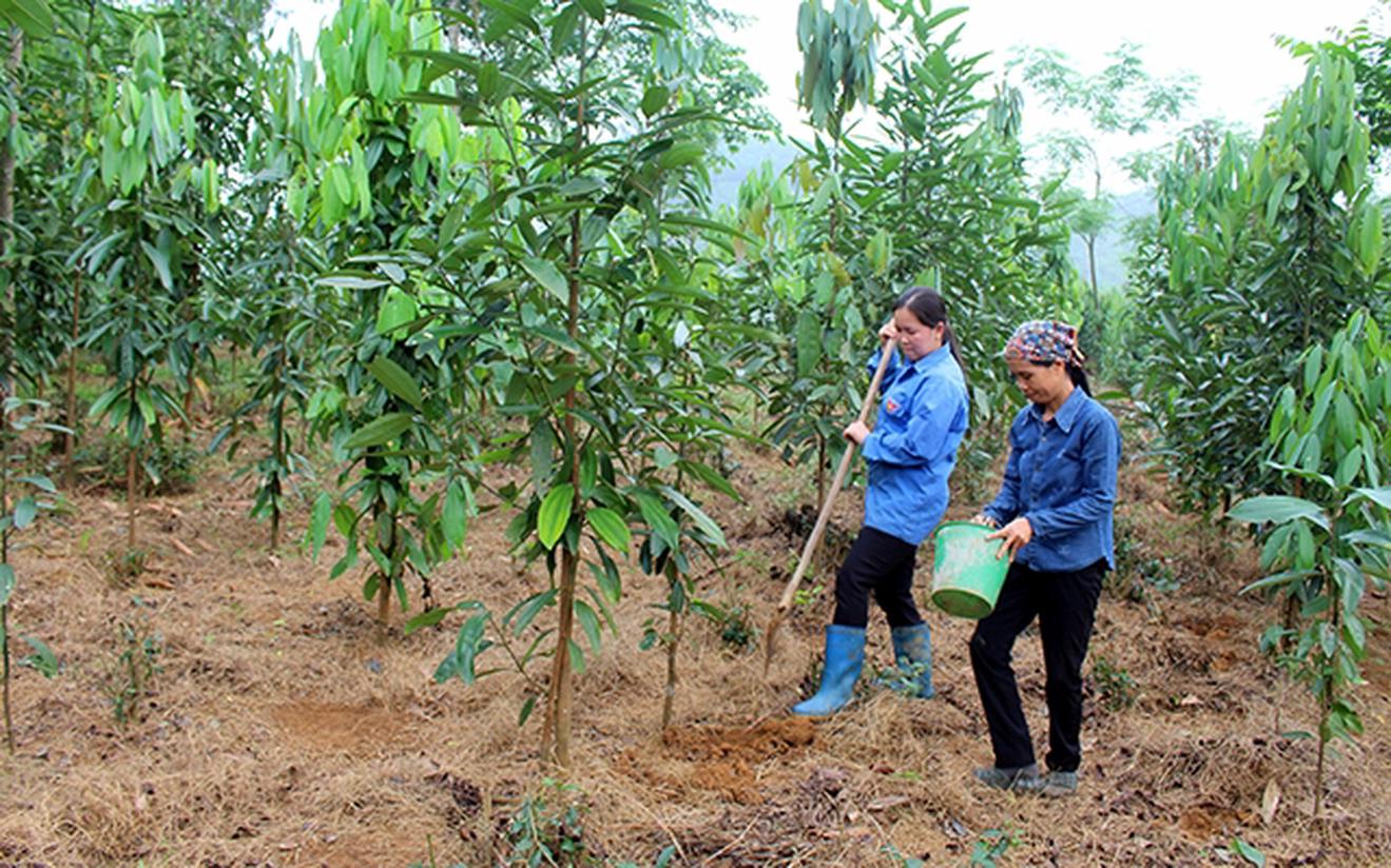 Giải ngân thấp, một Chương trình mục tiêu quốc gia ở Thái Nguyên kém hiệu quả