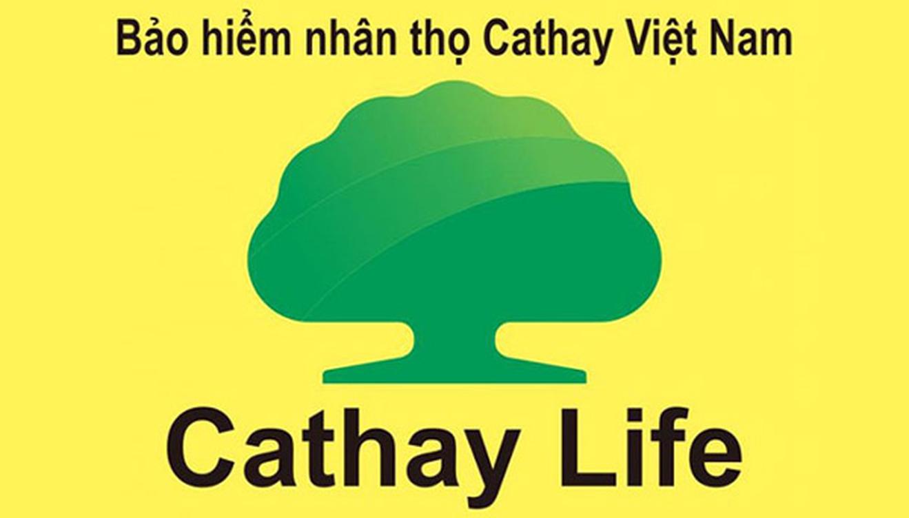 Thanh tra phát hiện nhiều sai phạm của Bảo hiểm Cathay Việt Nam