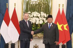 Việt Nam - Indonesia nâng cấp quan hệ lên Đối tác Chiến lược toàn diện 