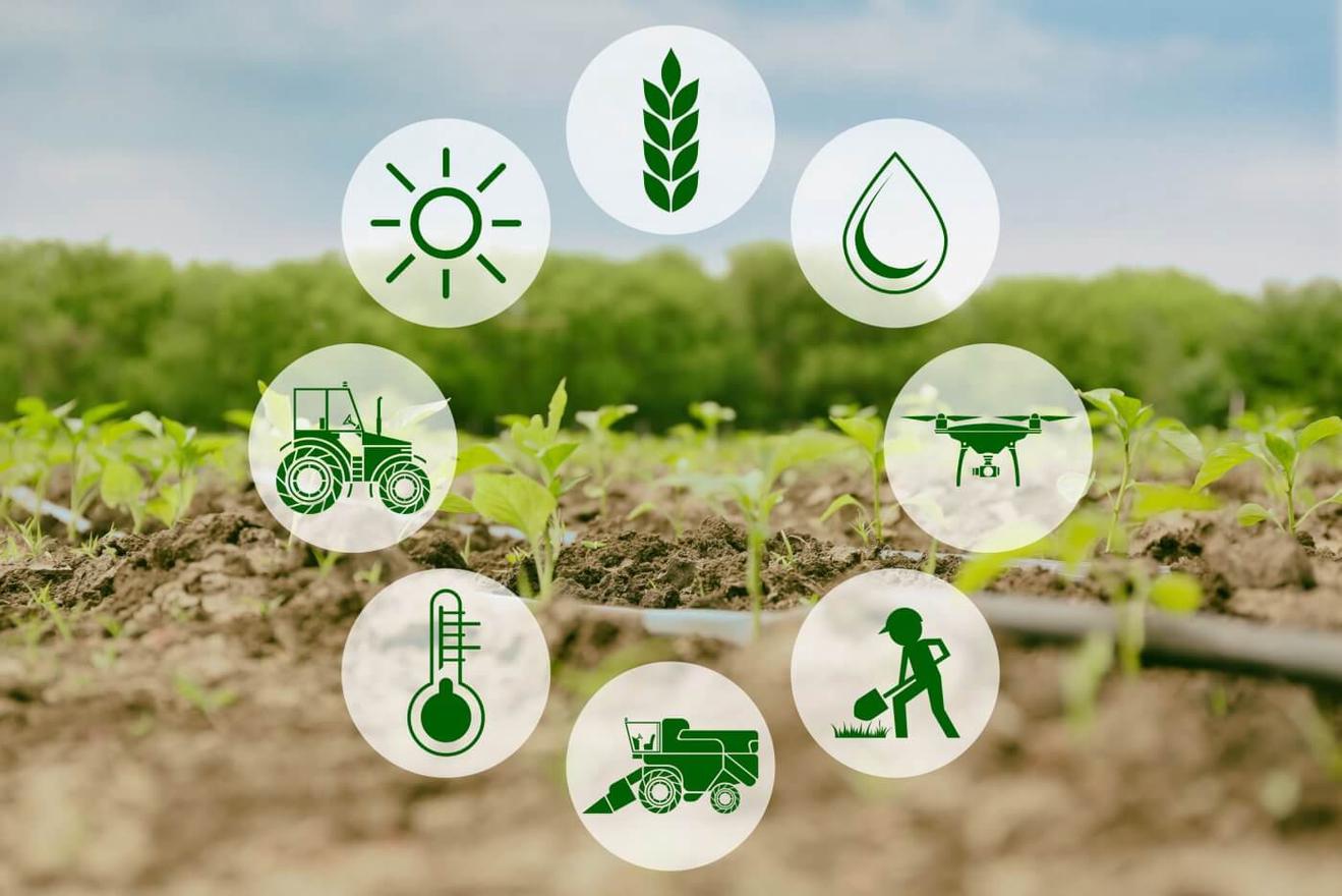 Chuyển đổi số trong nông nghiệp: Xu hướng tất yếu của Hà Nội đến năm 2030