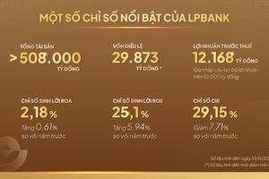 Ngân hàng Lộc Phát (LPBank): Những con số biết nói nhìn từ BCTC năm 2024