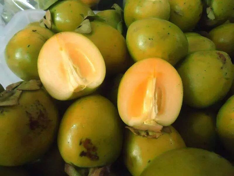 Hồng không hạt