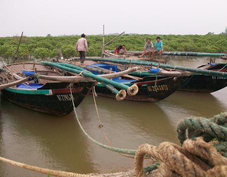 Tàu thuyền của ngư dân Hà Tĩnh về bến neo đậu tránh bão số 6.
