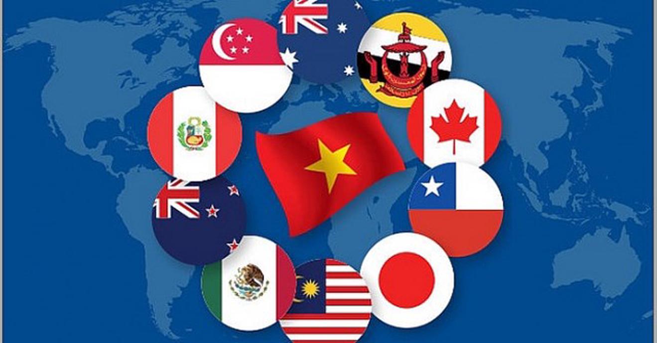 Hành trình vươn mình của Việt Nam trên bản đồ toàn cầu: Từ hội nhập đến khẳng định vị thế