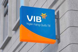 VIB: Lợi nhuận quý 1.2025 đạt hơn 2.400 tỷ đồng, CASA tăng 17%, thực hiện chia cổ tức 21%