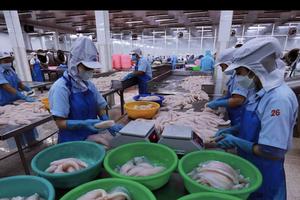 Tạo điều kiện tối đa để phát triển kinh tế tư nhân toàn diện, hiệu quả