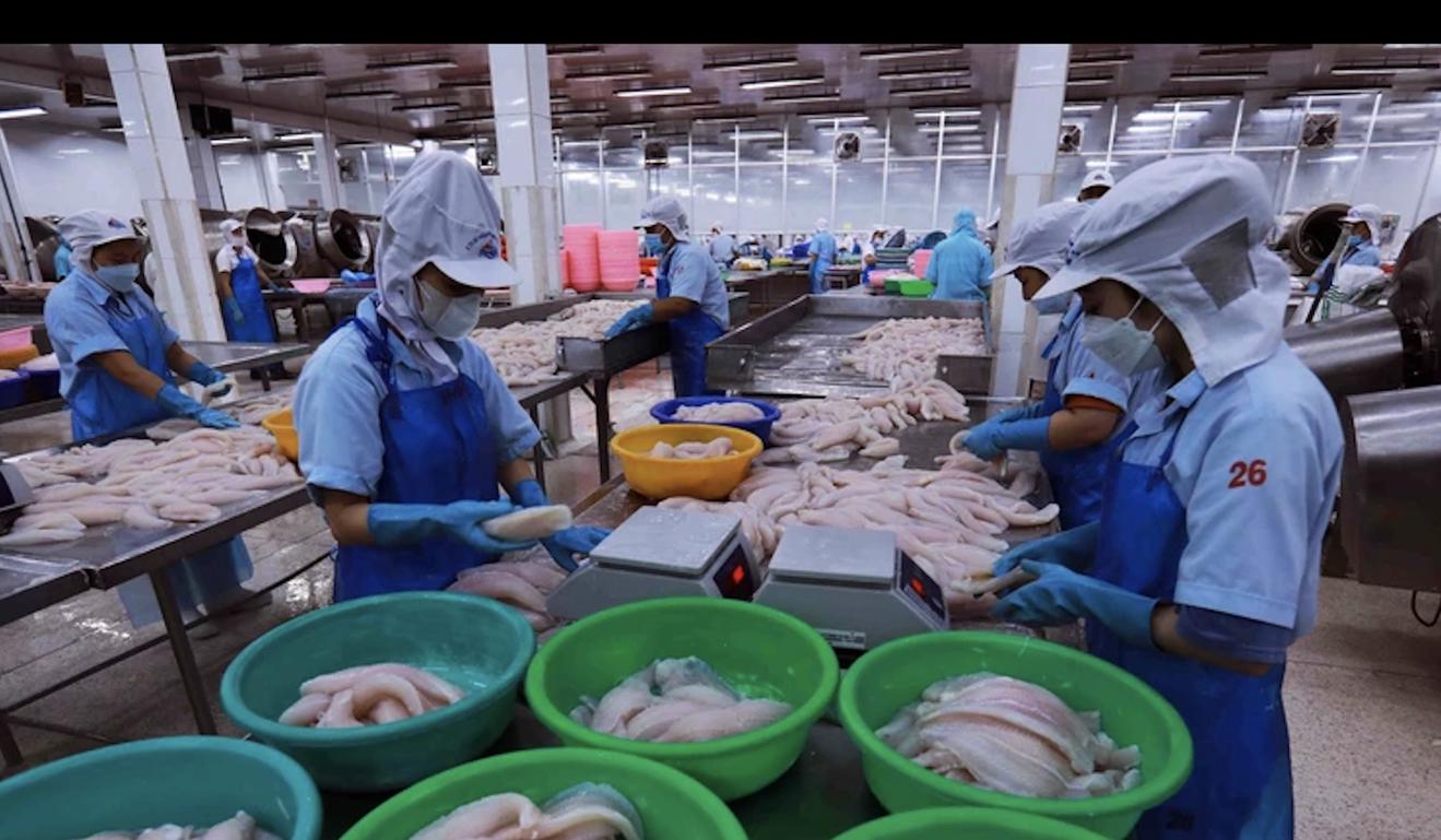 Tạo điều kiện tối đa để phát triển kinh tế tư nhân toàn diện, hiệu quả