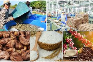 Thủ tướng chỉ đạo bảo đảm sản xuất, tiêu thụ, xuất khẩu nông lâm thủy sản