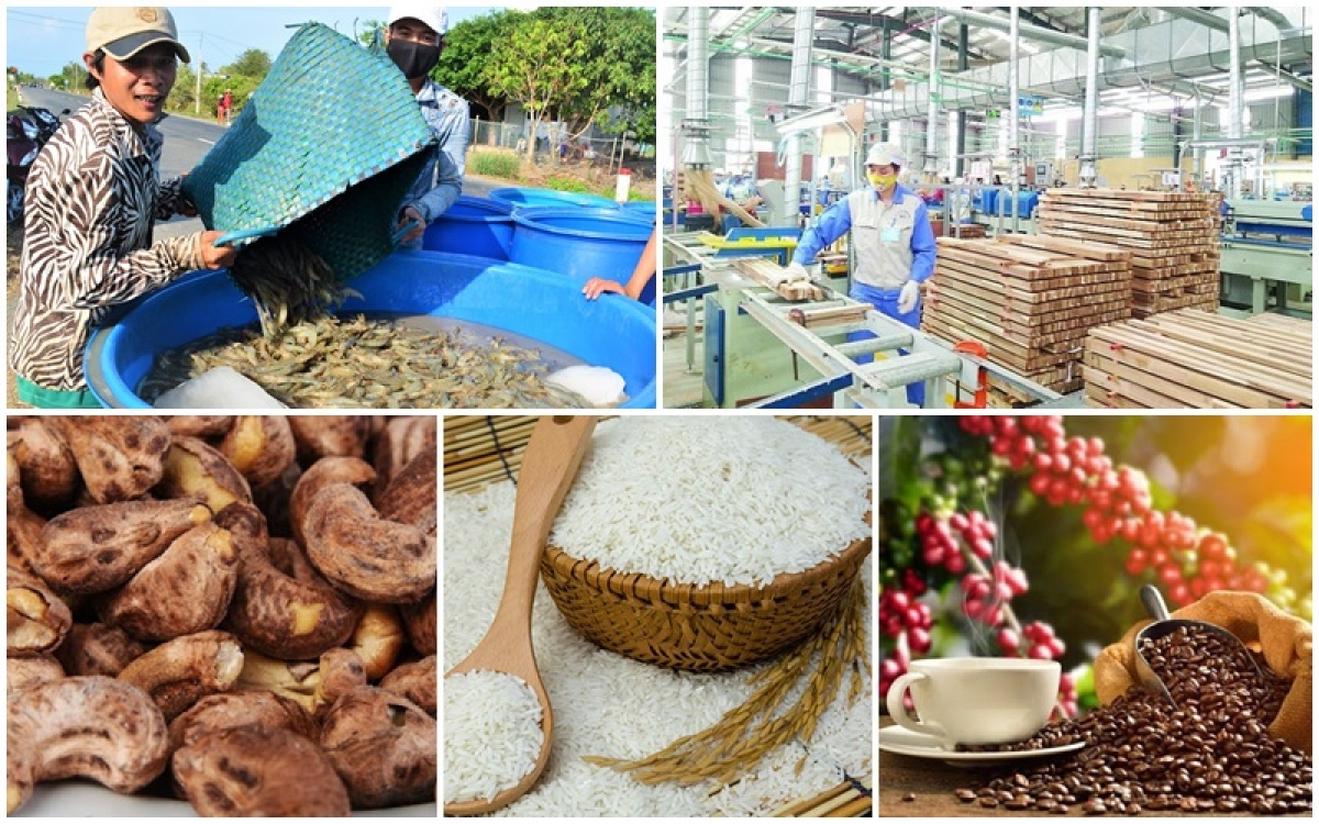 Thủ tướng chỉ đạo bảo đảm sản xuất, tiêu thụ, xuất khẩu nông lâm thủy sản
