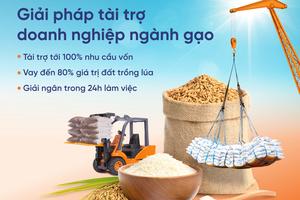 SHB ra mắt sản phẩm tài trợ linh hoạt cho ngành gạo, đồng hành cùng Chính phủ phát triển nông nghiệp bền vững